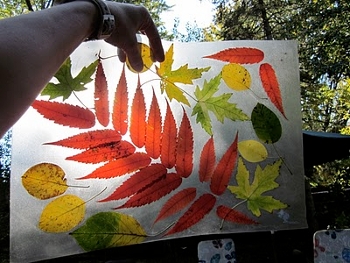 Коллаж из листьев своими руками. Фото