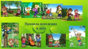 pravila povedeniya v lesu dlya detey - Правила этикета для детей в любых жизненных ситуациях