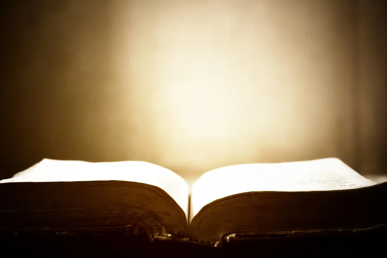 Опубликованы записи конференции “О разногласиях и «ошибках» библейских авторов”