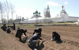 Как называется работа в церкви. %D0%A2%D1%80%D1%83%D0%B4%D0%BD%D0%B8%D1%87%D0%B5%D1%81%D1%82%D0%B2%D0%BE. Как называется работа в церкви фото. Как называется работа в церкви-%D0%A2%D1%80%D1%83%D0%B4%D0%BD%D0%B8%D1%87%D0%B5%D1%81%D1%82%D0%B2%D0%BE. картинка Как называется работа в церкви. картинка %D0%A2%D1%80%D1%83%D0%B4%D0%BD%D0%B8%D1%87%D0%B5%D1%81%D1%82%D0%B2%D0%BE