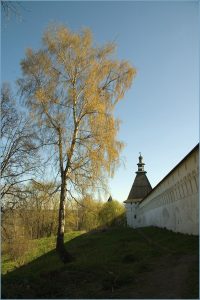 Саввино-Сторожевский монастырь