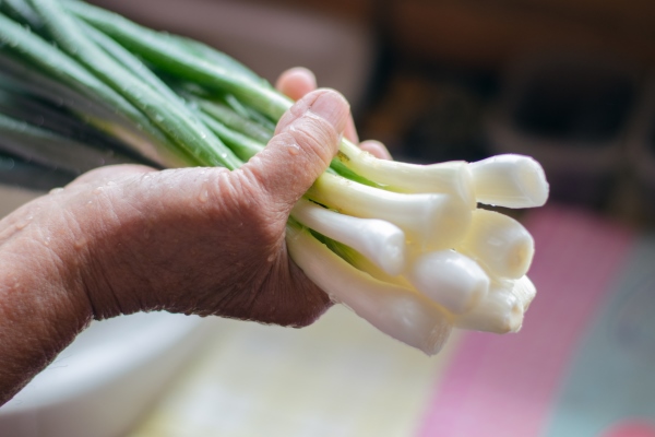a farmer woman holds fresh green onions in her hands bunch of young green onions - Как лучше сохранить продукты?
