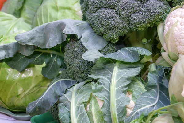 fresh cabbage heads of different varieties - Овощи, бобовые, грибы: полезные советы