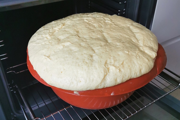 fresh raw yeast dough in a plate after proofing for bread and pizza - Маленькие хитрости приготовления пищи