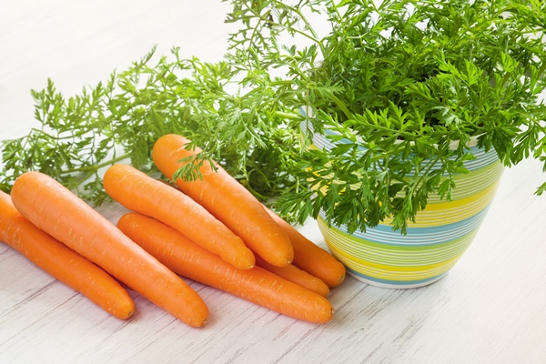 fresh ripe carrot root vegetables with leaves on wooden white table - Аджика с яблоками