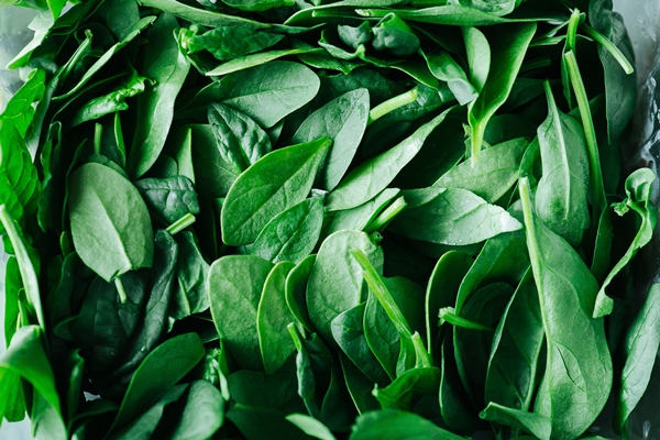 fresh spinach leaves in a one gig mash greens in a texture top view - Австралийский овощной хлеб