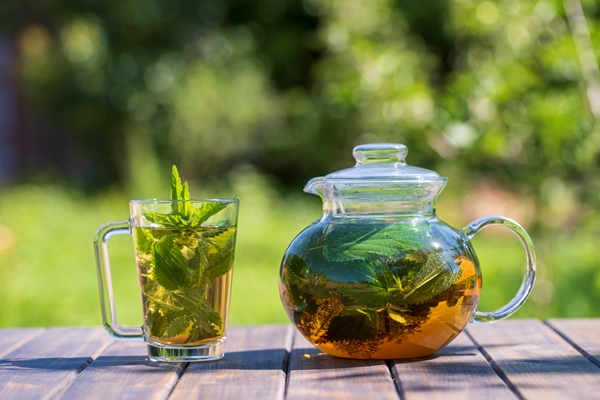 healthy nettle tea in a glass tea pot and mug in the summer garden on wooden table - Как употреблять блюда из крапивы?