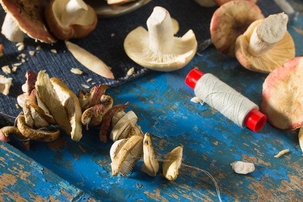 mixed fresh porcini mushrooms on a wooden table - Грибной порошок