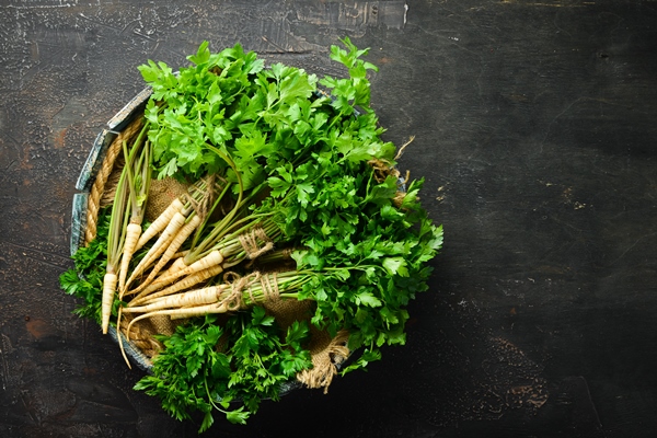 root parsley on a wooden background top view free space for your - Как лучше сохранить продукты?