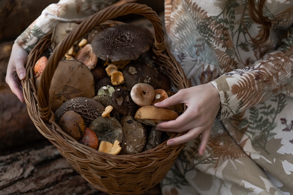 young woman in a linen dress gathering mushrooms in the forest - Маленькие хитрости приготовления пищи