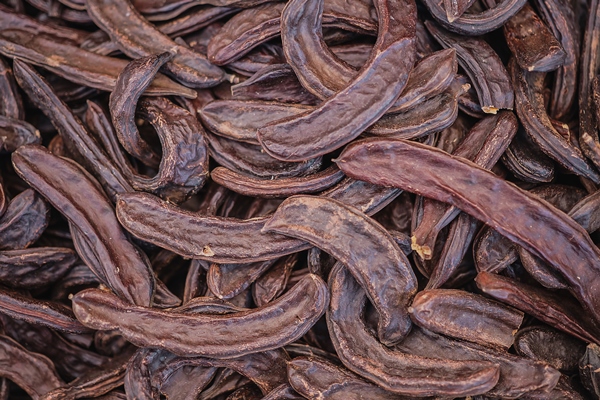 carob tree pods on a wooden table top view closeup healthy organic sweet carob pods - Библия о пище