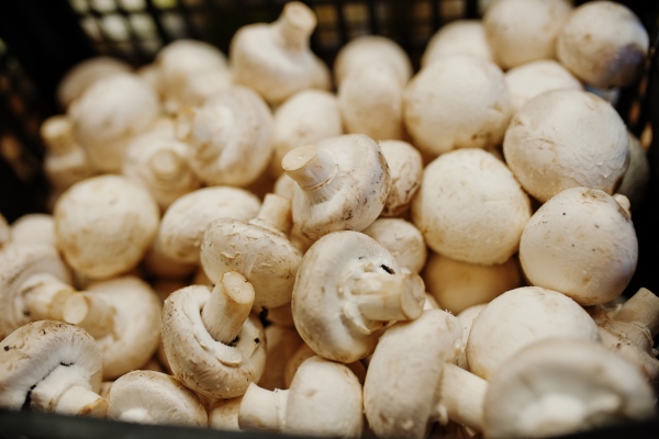 champignon mushrooms on the shelf of a supermarket or grocery store - Цукини с грибами