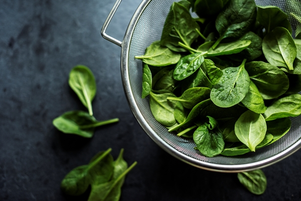fresh spinach leaves on a bowl - Постные блинчики с начинкой из шпината