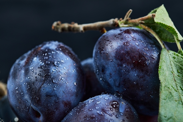 group of fresh plums on black - Пирожное из чернослива