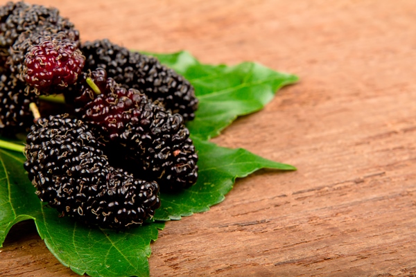 mulberry and leaf on old wood - Библия о пище