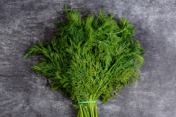 picture of green dill on grey table - Цукини с грибами