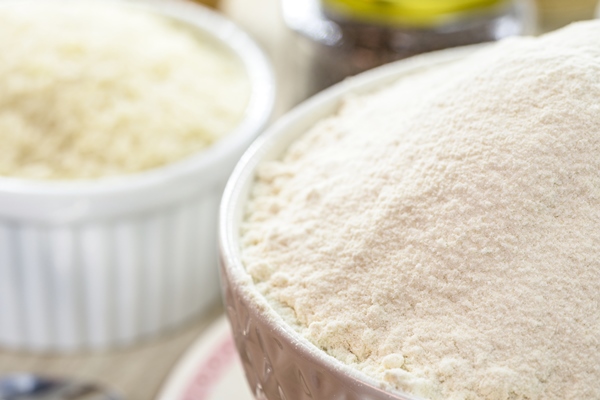rice flour alternative flour rich in vitamins used in vegan foods gluten free and healthier - Постные блинчики с начинкой из шпината