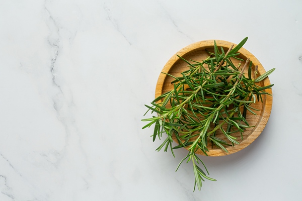 rosemary plants place on white marble floor 1 - Цукини с грибами