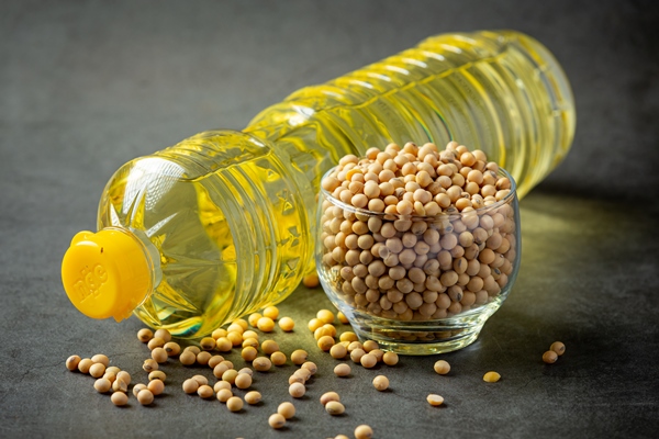soybean oil soybean food and beverage products food nutrition concept 1 - Постные закусочные блины на соевом молоке