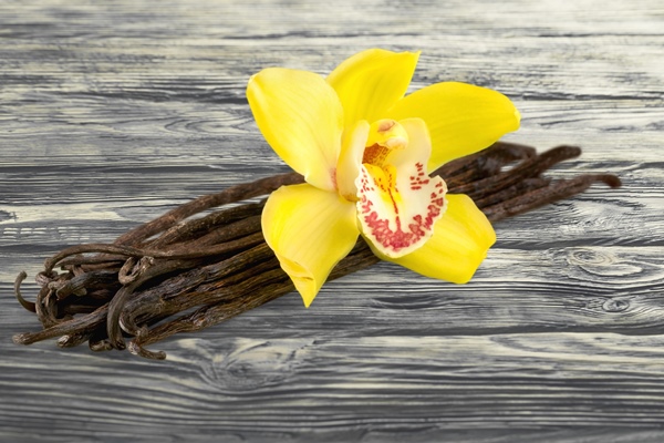 vanilla beans with orchid flower isolated on white - Мороженое из яблок и груш