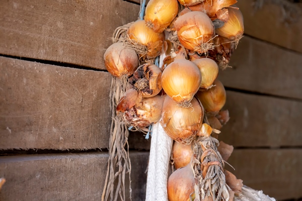 yellow onions hang on the wall of boards - Салат с полуострым перцем и помидорами