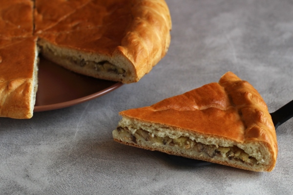 a piece of pie with chicken and mushrooms in a closeup section - Пирог из гречневой каши с грибами