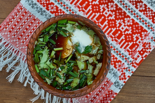 botvinia traditional russian green vegetable soup - Ботвинья из сныти и щавеля