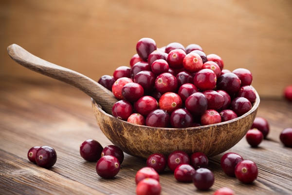cranberries - Напиток клюквенный с мёдом