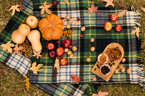 flat lay fall assortment on picnic blanket - Салат из тыквы с мёдом