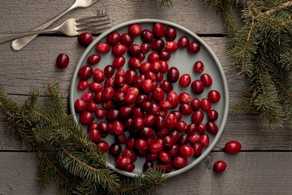 flat lay of plate of cranberries with pine and forks - Лимонад из клюквы