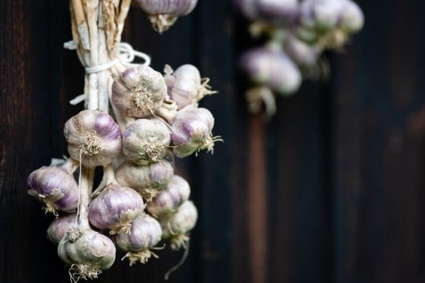 fresh organic garlic bulbs hanging on a wooden rustic hut 627281 652 - Заправка горчичная с чесноком