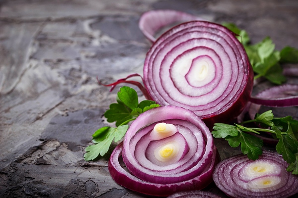 fresh sliced red onion selective focus - Солянка из кислой капусты