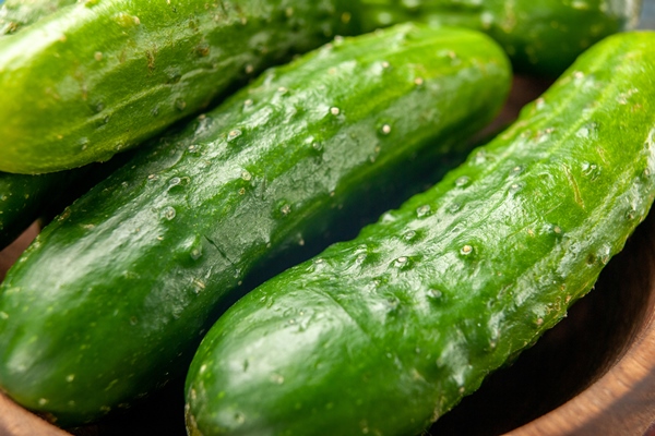 front view fresh green cucumbers on blue background meal salad health ripe food diet color photo - Овощной смузи с томатом и огурцом