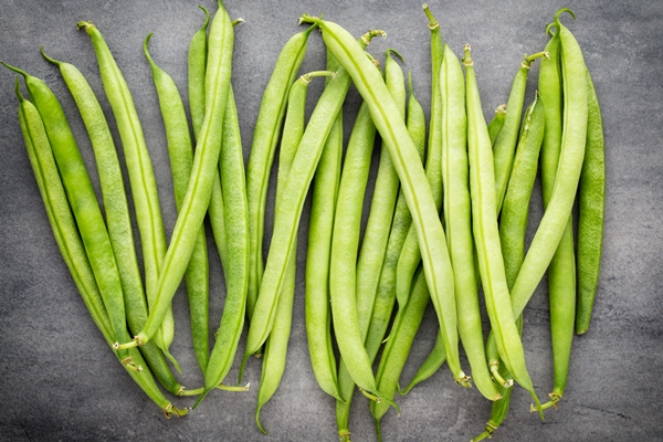 green beans on a gray background - Зелёная фасоль с орехами