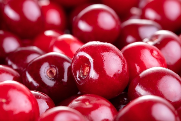 heap of fresh ripe red cherry - Компот из вишни