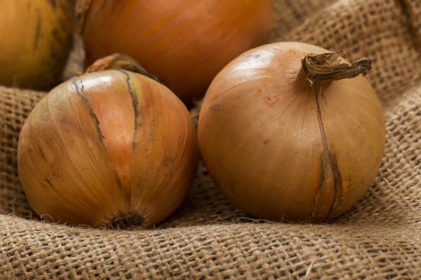 onions on blanket - Постное рагу с фасолью
