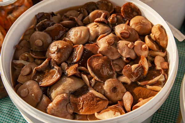 Сытный грибной суп из волнушек – пошаговый рецепт приготовления с фото
