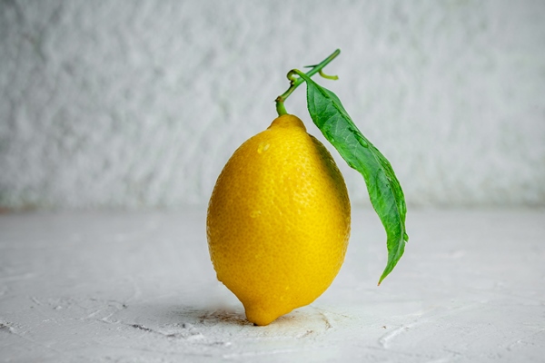 some lemon with its leaf on white textured background side view - Салат из свежей капусты
