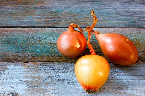 three heads goldish onions on an old rustic table 1 - Постная тушёная свёкла с квашеной капустой
