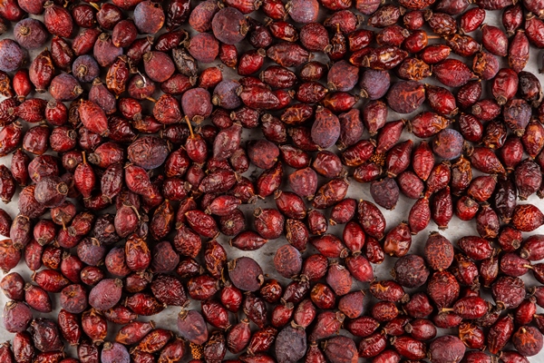 top view arrangement with red dried fruits - Кисель из плодов шиповника