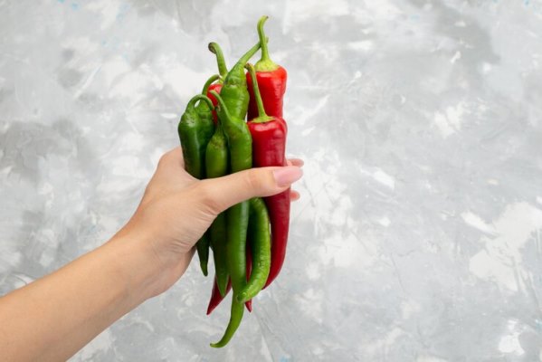 top view colored spicy peppers holding by female green and red on grey 140725 18923 - Соус "Сальса"