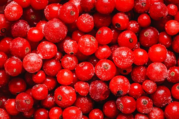 top view cranberries arrangement - Клюквенный мусс
