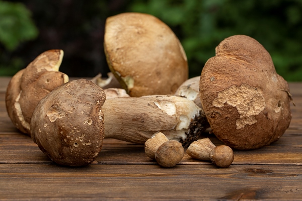 various edible forest mushrooms on a wooden table vegetarian food - Постный суп грибной с галушками