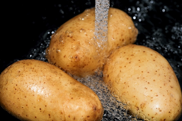 young raw potatoes in their skins are washed in clean water before cooking close up macro photography - Форшмак, постный стол