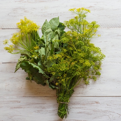 a bouquet of spices for pickling green spices for preserving vegetables on a white wooden background - Маринованные лисички