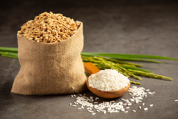 a sack of rice seed with white rice on small wooden spoon and rice plant - Замоскворецкий квас