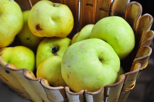 antonov apples - Яблочный квас (сидр)