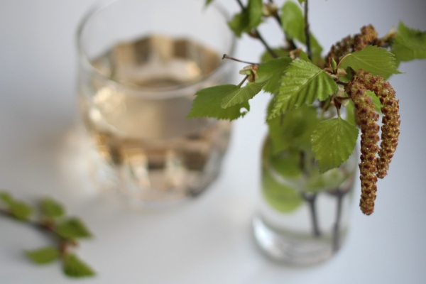 birch sap in a glass glass with a sprig of blossoming birch - Чертановский квас