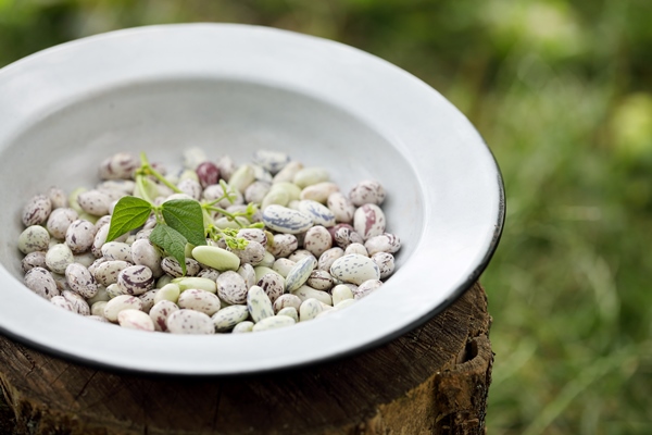 bowl with fresh beans in the garden - Суп из фасоли с орехами