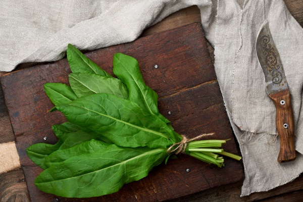 bunch of fresh green sorrel leaves and old brown cutting board - Ботвинья по-монастырски